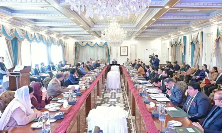 Federal Cabinet Blocks Profit Increase for Petrol Dealers and Oil Marketing Companies